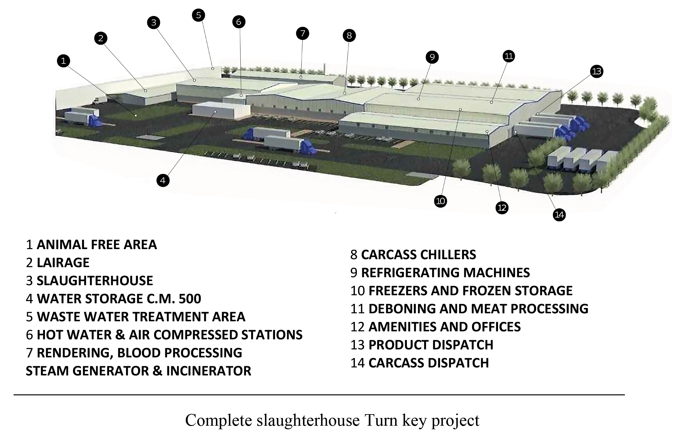 COGEMAT: 50 Years of innovation in slaughtering systems and meat technology